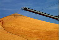 صورة Us Grains Council