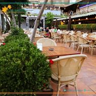 Picture of La Saison Restaurant and Cafe