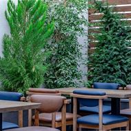 Picture of Odyssey Bistro