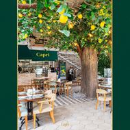 Picture of Capri Restaurant