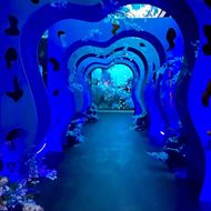 Picture of White Hall